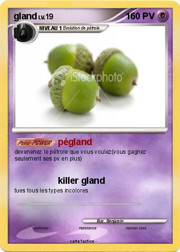 Pokemon gland