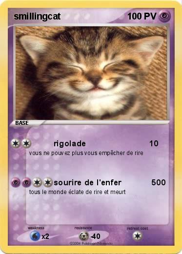 Pokemon smillingcat