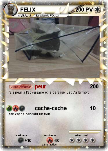 Pokemon FELIX