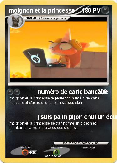 Pokemon moignon et la princesse