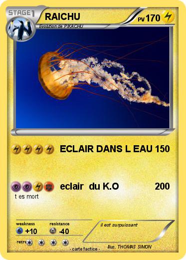 Pokemon RAICHU