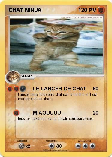 Pokemon CHAT NINJA