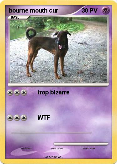 Pokemon bourne mouth cur