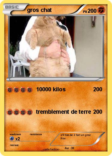 Pokemon gros chat