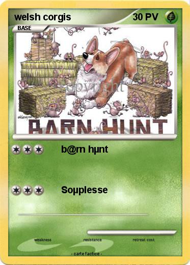 Pokemon welsh corgis