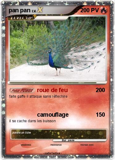 Pokemon pan pan