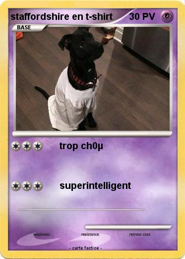 Pokemon staffordshire en t-shirt