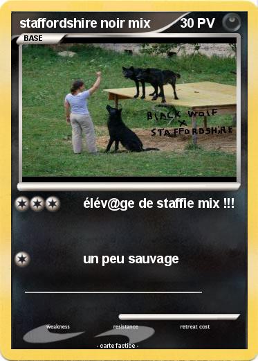 Pokemon staffordshire noir mix