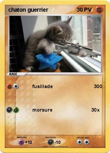 Pokemon chaton guerrier