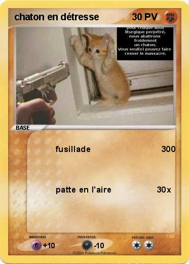 Pokemon chaton en détresse