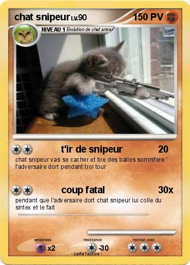 Pokemon chat snipeur