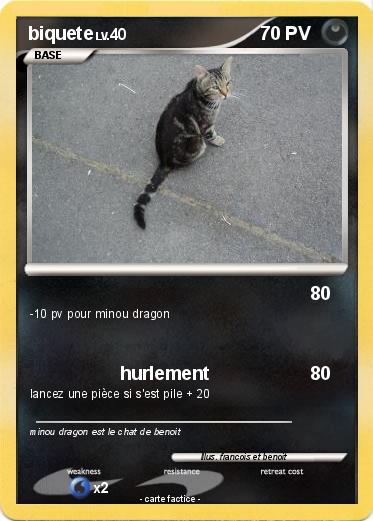 Pokemon biquete