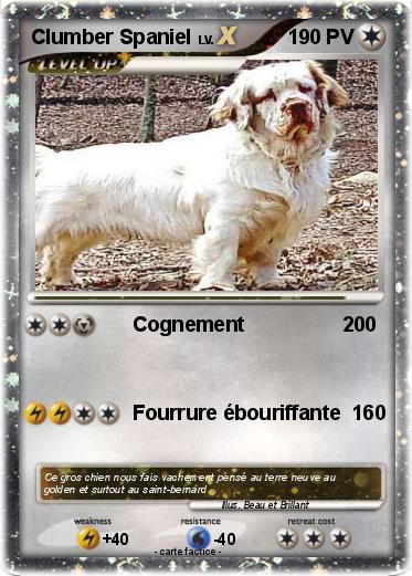 Pokemon Clumber Spaniel