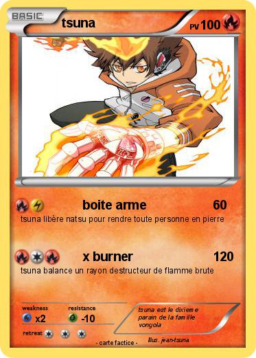 Pokemon tsuna