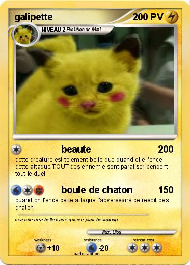 Pokemon galipette