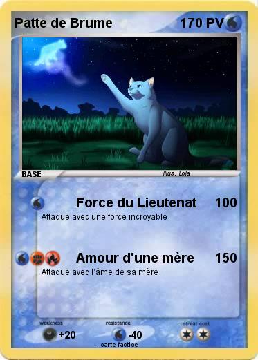 Pokemon Patte de Brume