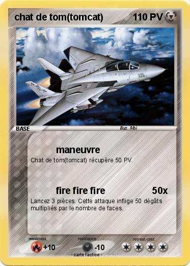 Pokemon chat de tom(tomcat)