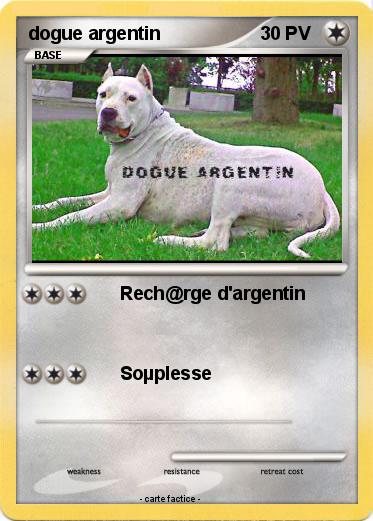 Pokemon dogue argentin