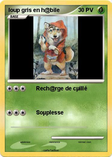 Pokemon loup gris en h@bile