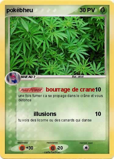 Pokemon pokébheu