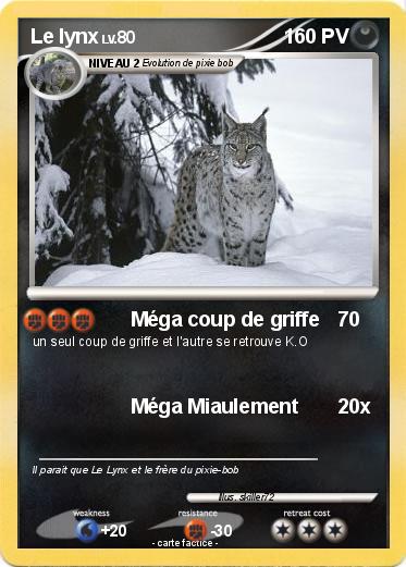 Pokemon Le lynx