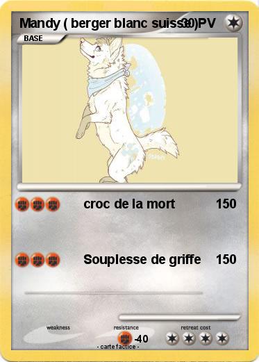 Pokemon Mandy ( berger blanc suisse )