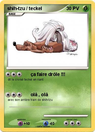 Pokemon shih-tzu / teckel