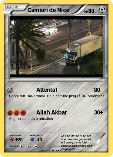 Pokemon Camion de Nice