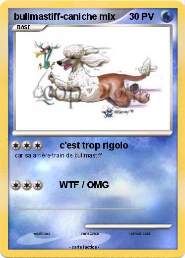 Pokemon bullmastiff-caniche mix