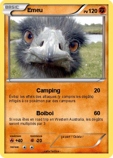 Pokemon Emeu