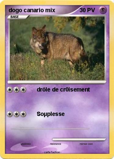 Pokemon dogo canario mix