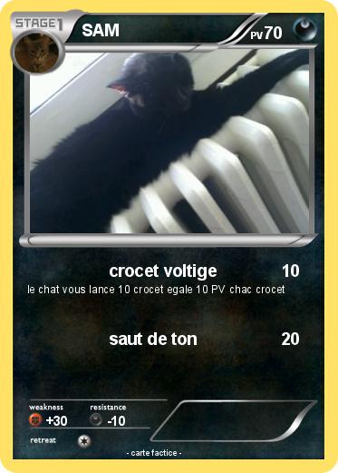 Pokemon SAM