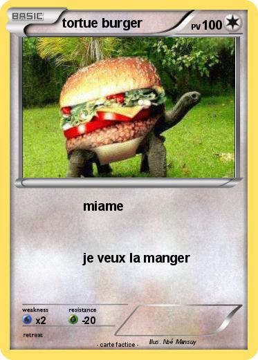Pokemon tortue burger