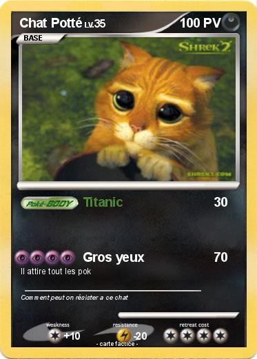 Pokemon Chat Potté