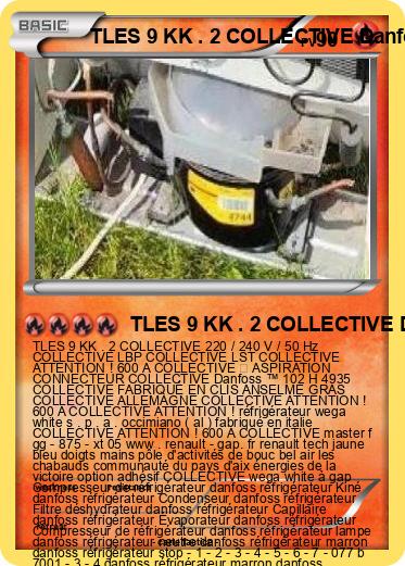 Pokemon TLES 9 KK . 2 COLLECTIVE Danfoss ™