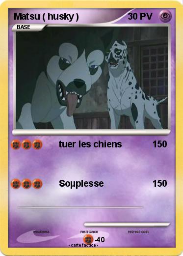 Pokemon Matsu ( husky )