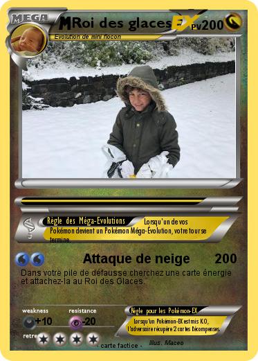 Pokemon Roi des glaces