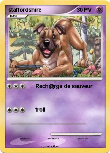Pokemon staffordshire