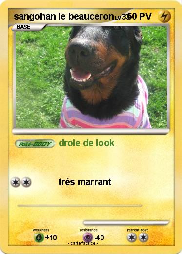 Pokemon sangohan le beauceron