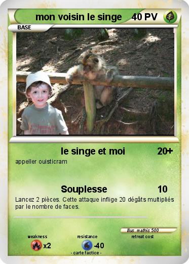 Pokemon mon voisin le singe