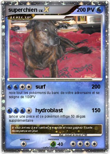Pokemon superchien
