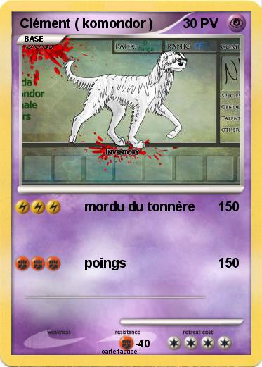Pokemon Clément ( komondor )