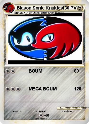 Pokemon Blason Sonic Knukles