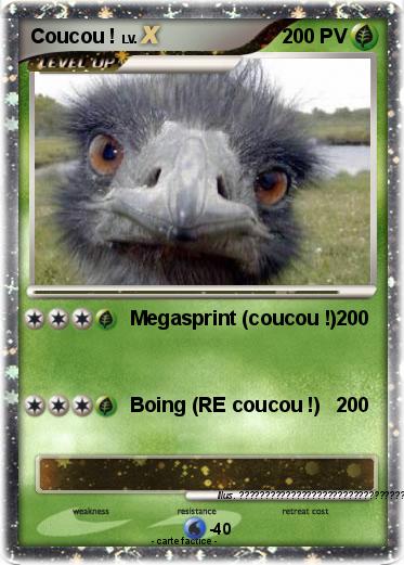 Pokemon Coucou !