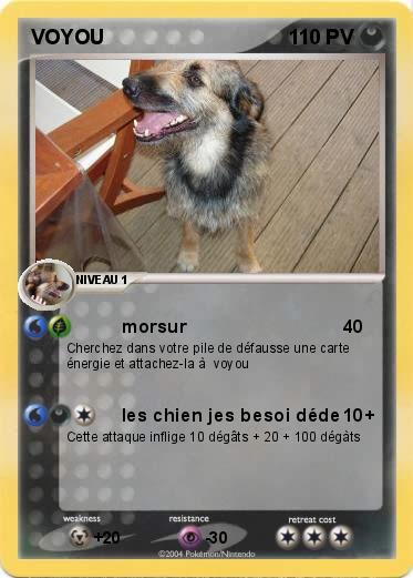 Pokemon VOYOU