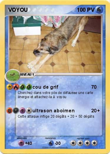 Pokemon VOYOU
