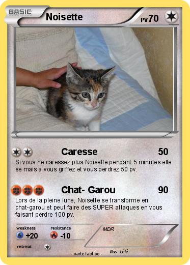 Pokemon Noisette
