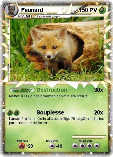 Pokemon Feunard