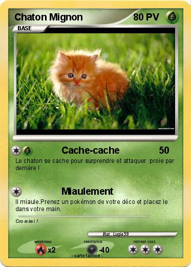 Pokemon Chaton Mignon