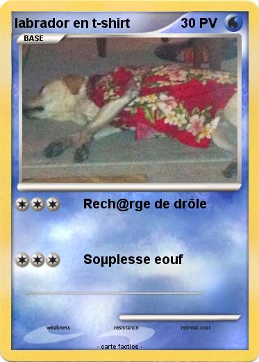 Pokemon labrador en t-shirt